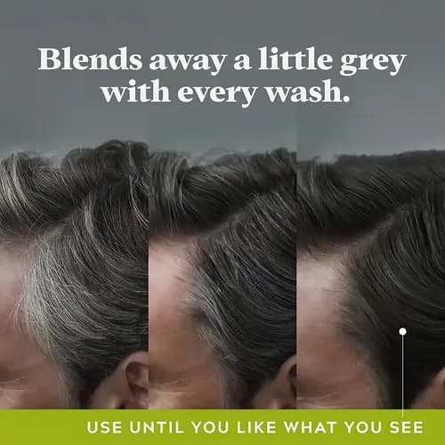 Just For Men Control GX Shampoo 3